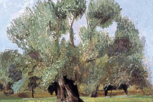 "Γέρικη ελιά – η ελιά του Πλάτωνος", 2004, ακρυλικό σε καμβά, 150 x 150 cm