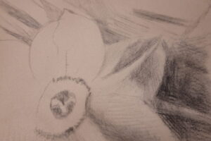 konstantina-sylikou-flower8