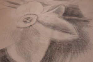 konstantina-sylikou-flower9