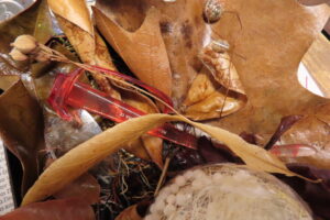 "Nature and the city", 2023, χαρτόνι, γυαλί, φυσικά υλικά, 21 x 15 cm